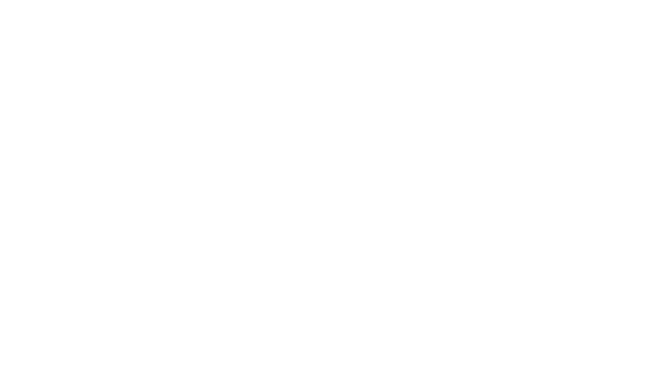VESNA